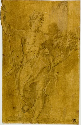 Study for Male Allegorical Figure — Taddeo Zuccari