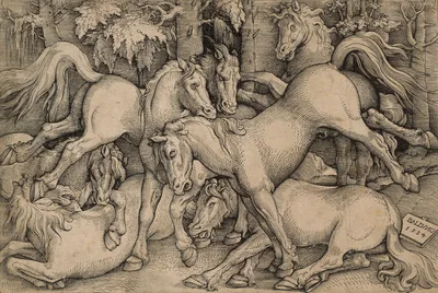 Wild Horses Fighting — Hans Baldung Grien