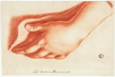 Plaster Cast of Left Hand — Onorio Marinari