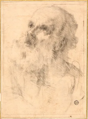 Head of an Old Man — Bartolomé Esteban Murillo