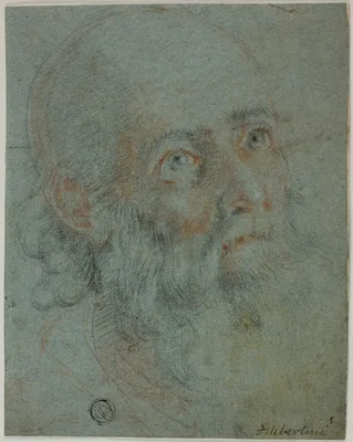 Head of a Bearded Man, Looking Up to Right: Study for Saint Catherine of Alexandria Disputing with the Pagan Priests — Cigoli