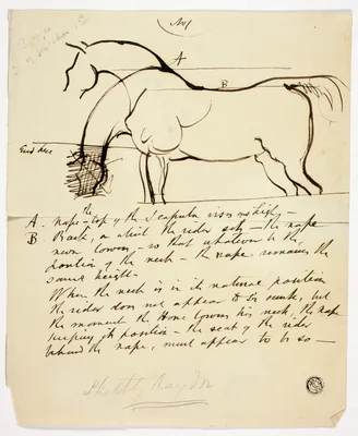 Sketch of Horse with Notations — Benjamin Haydon