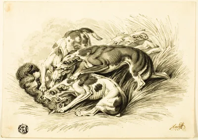 Hounds with Fox — Guillaume Coustou the Younger