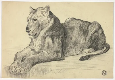 Lioness — Edwin Landseer