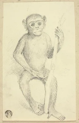 Orangutang — Edwin Landseer