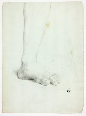 Study of a left foot — John Downman