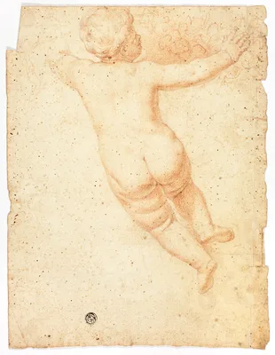 Putto from Back — John Downman