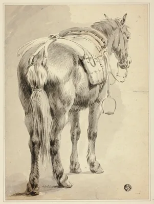 Saddle Horse — Pieter van Bloemen