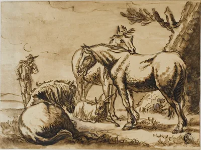 Horses, Goat and a Man — Dirk Stoop