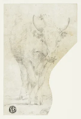 Cow — Philipp Peter Roos