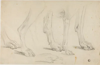 Dog Paws — Sawrey Gilpin
