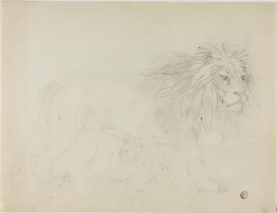 Lion — Sawrey Gilpin