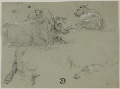 Sketches of Cows — Rosa Bonheur