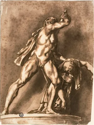 Study after The Dying Gaul Killing His Wife and Himself — Jan de Bisschop