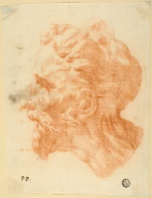 Head of Bearded Man in Profile to Left — Pietro Dandini