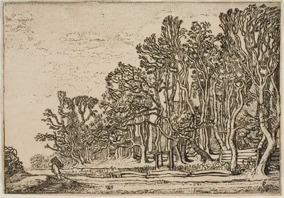 Landscape with Plank-Hedges and Man Bearing Wood — Willem Pieterszoon Buytewech