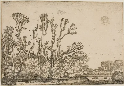 Landscape with Trees, Pond and Sheep — Willem Pieterszoon Buytewech