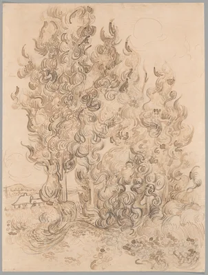 Cypresses — Vincent van Gogh