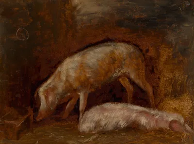 Study of Pigs — Alexandre-Gabriel Decamps