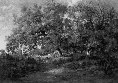 Landscape — Théodore Rousseau