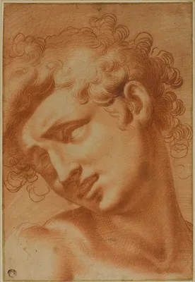 Head of a Youth — Cristoforo Roncalli