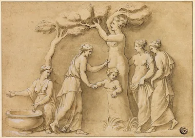 Birth of Adonis — Giulio Romano