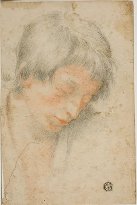 Head of Youth Looking Down — Matteo Rosselli