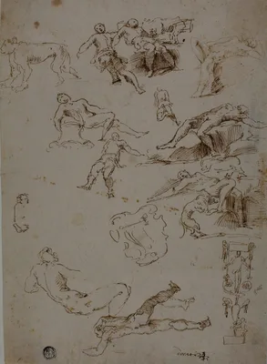 Sketches of Male Nudes, Animals, and Ornamental Details — Polidoro da Caravaggio