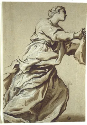 Study for Detail: Saint Veronica — Domenico Piola