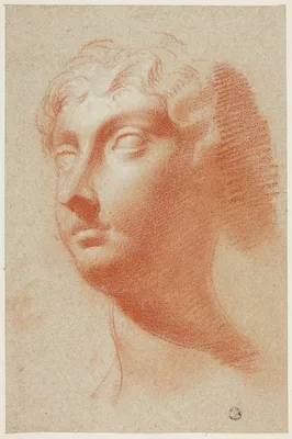 Female Head — Pietro Dandini