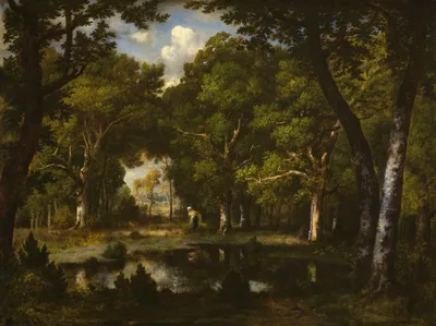 Pond in the Woods — Narcisse Virgilio Díaz