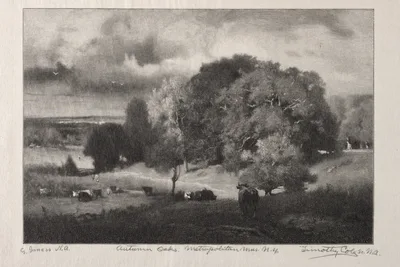 Autumn Oaks — Timothy Cole