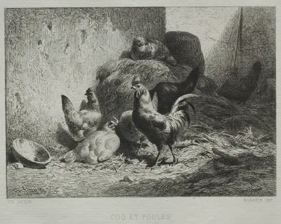 Cock and Hens — Charles Jacque