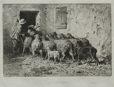 The Return — Charles Jacque