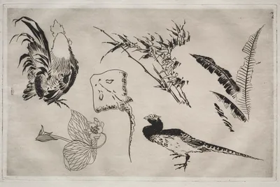 Dinner Service (Rousseau service): Roosters, skate, plants, etc. (no. 9) — Félix Bracquemond