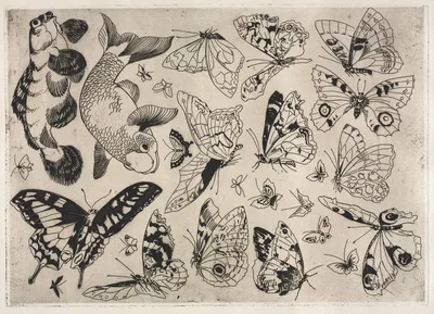 Dinner Service (Rousseau service): Butterflies and Fish (no. 16) — Félix Bracquemond
