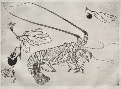 Dinner Service (Rousseau service): Large lobster with raised antenna (no. 21) — Félix Bracquemond