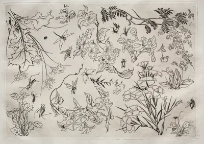 Dinner Service (Rousseau service): Flowers (no. 22) — Félix Bracquemond
