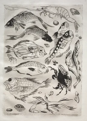 Dinner Service (Rousseau service): Fish (no. 24) — Félix Bracquemond
