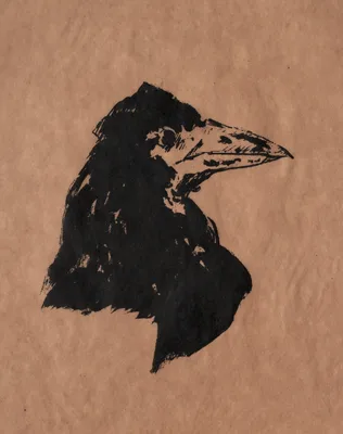 Raven's Head in Profile — Édouard Manet