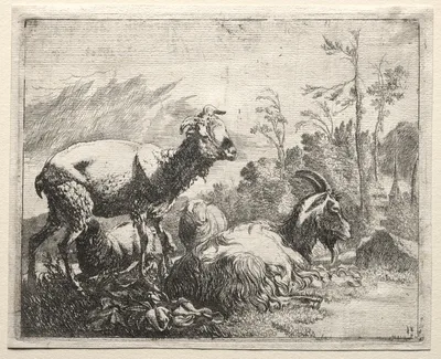 Goats — Johann Heinrich Roos