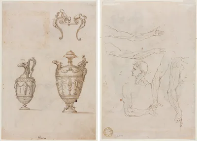 Design for Two Vases and an Ornament (recto); Sketches of Five Arms and a Head (verso) — Luzio Luzi