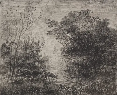 Stags — Charles-François Daubigny