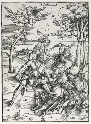 Hercules — Albrecht Dürer