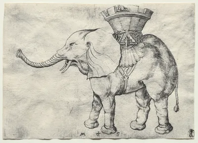 An Elephant with Howdah — Martin Schongauer