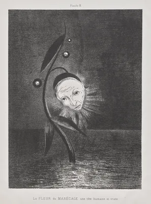 The Marsh Flower, a Sad Human Head — Odilon Redon