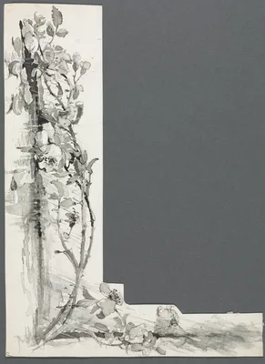 Flower Study — Harry Fenn