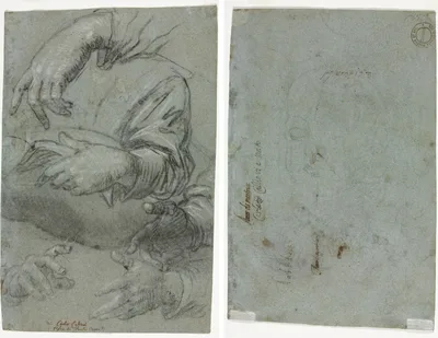 Studies of Hands (recto); Sketch of a Child's Head (verso) — Carlo Caliari