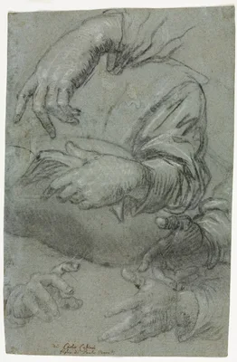Studies of Hands (recto) — Carlo Caliari