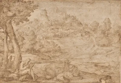 Saint Jerome in a Landscape — Domenico Campagnola